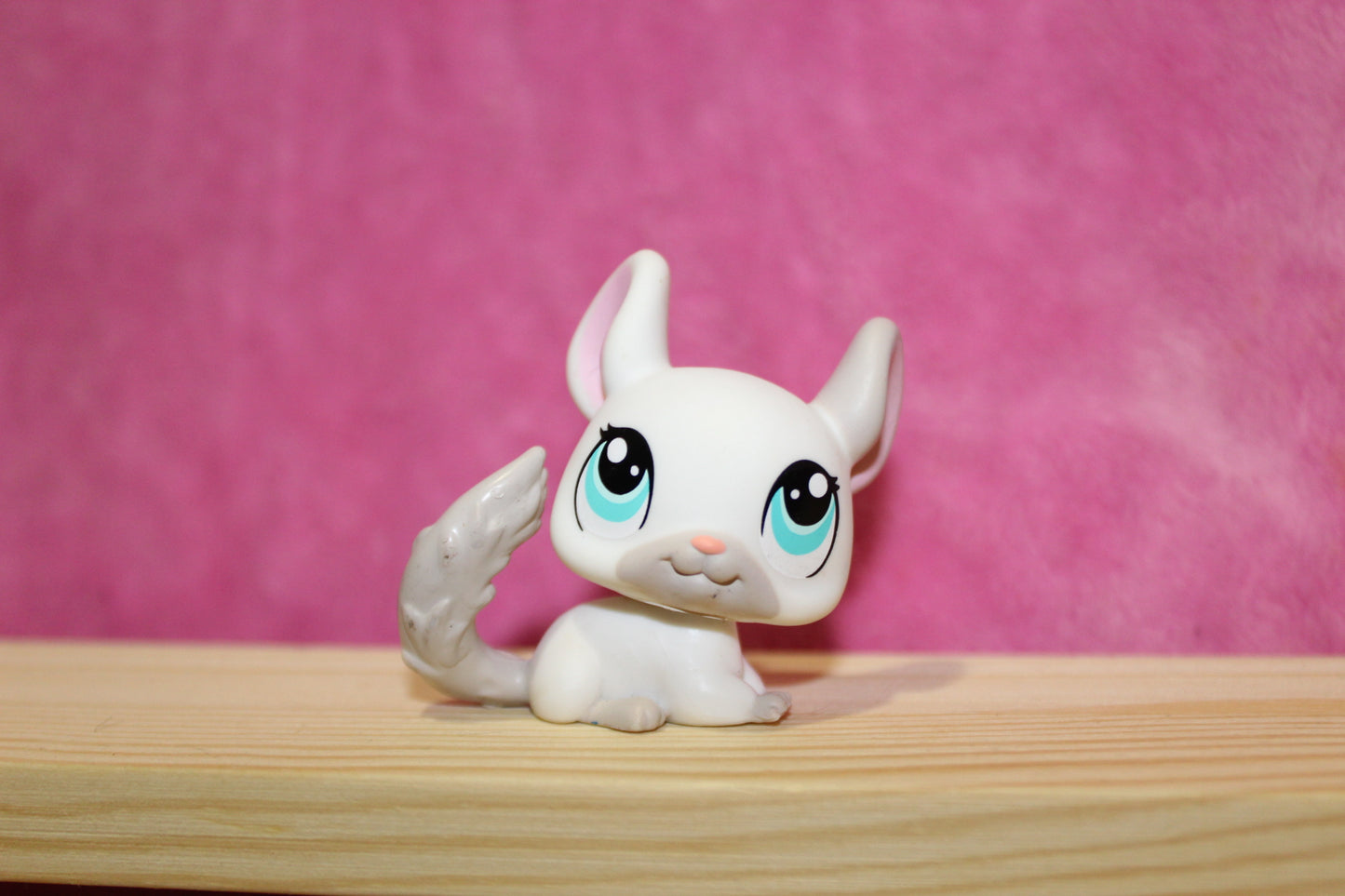 Authentic LPS chinchilla