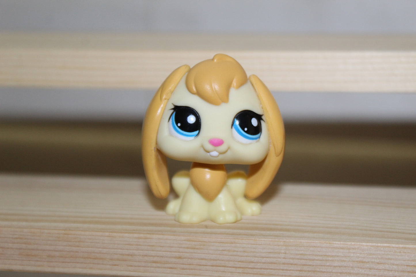 Authentic LPS Rare Bunny