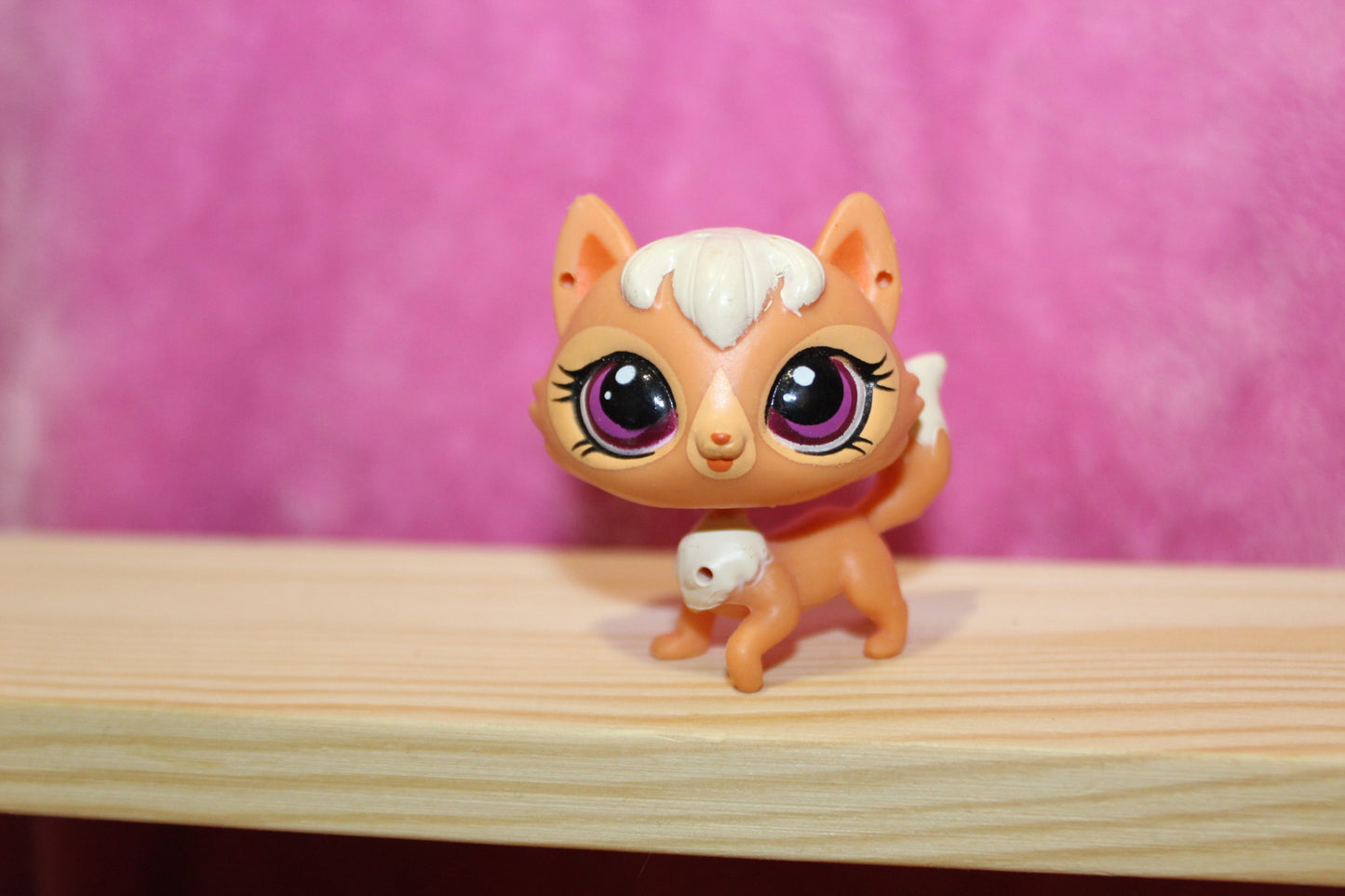 Authentic LPS new gen cat