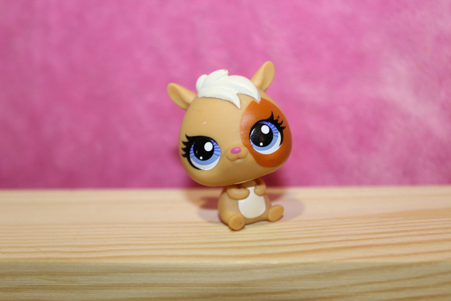 Authentic LPs New Gen hamster