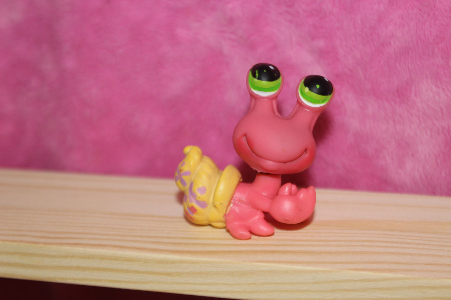 Authentic LPS Hermit Crab