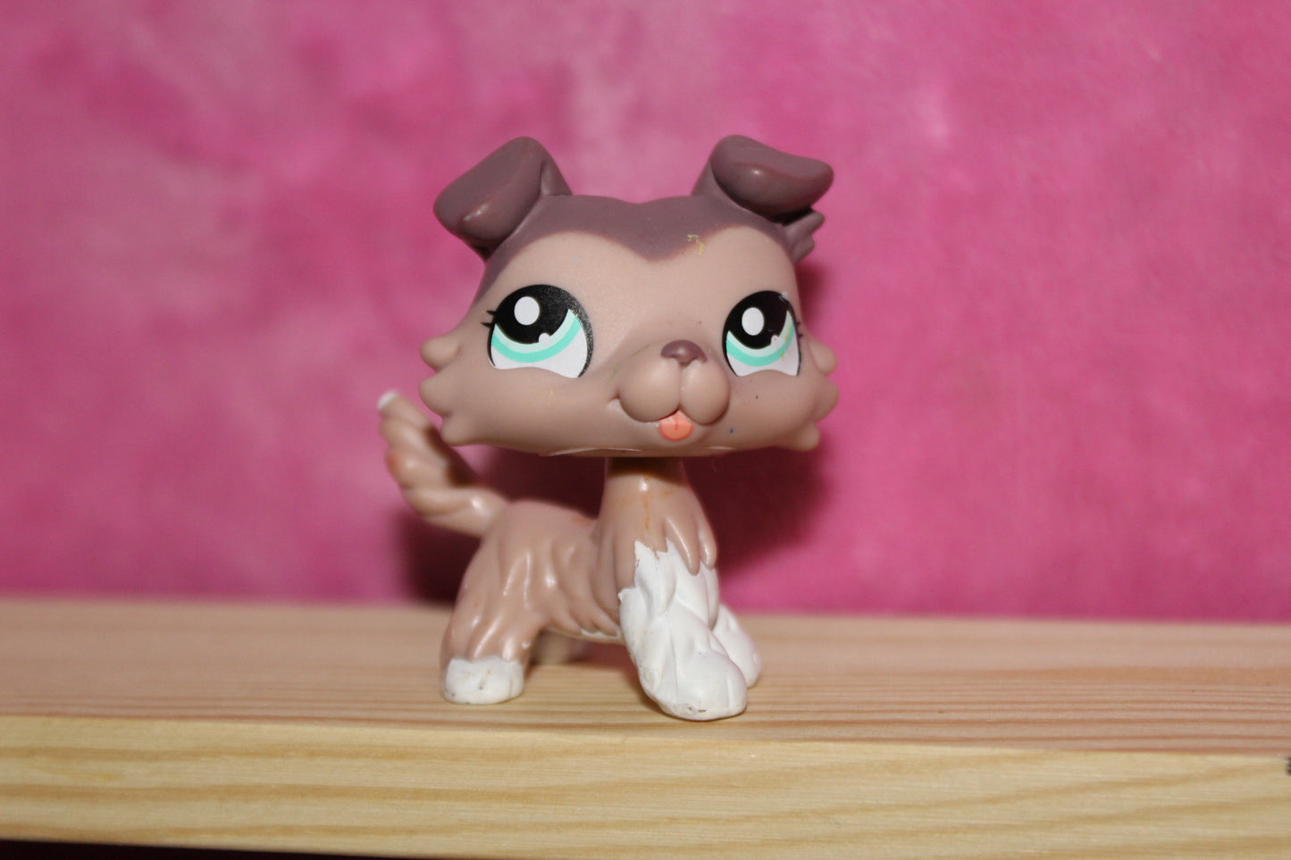 Authentic LPS Collie Dog