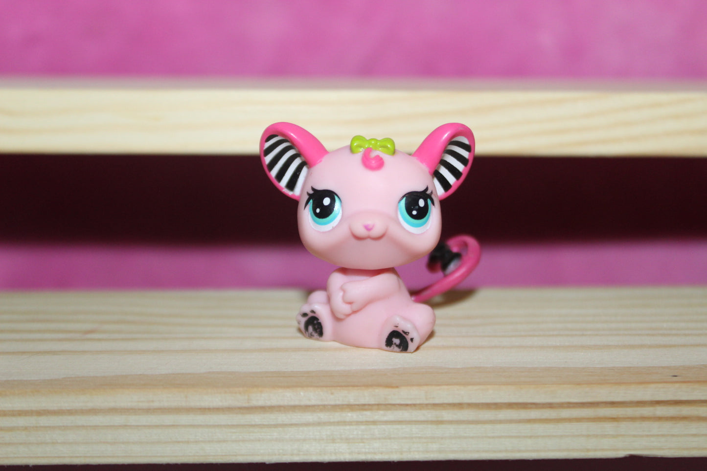 Authentic LPS Rat