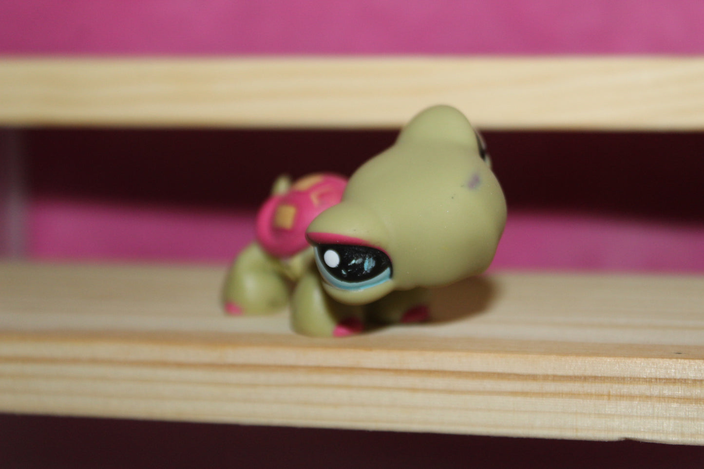 Authentic LPS Blemished Turtle