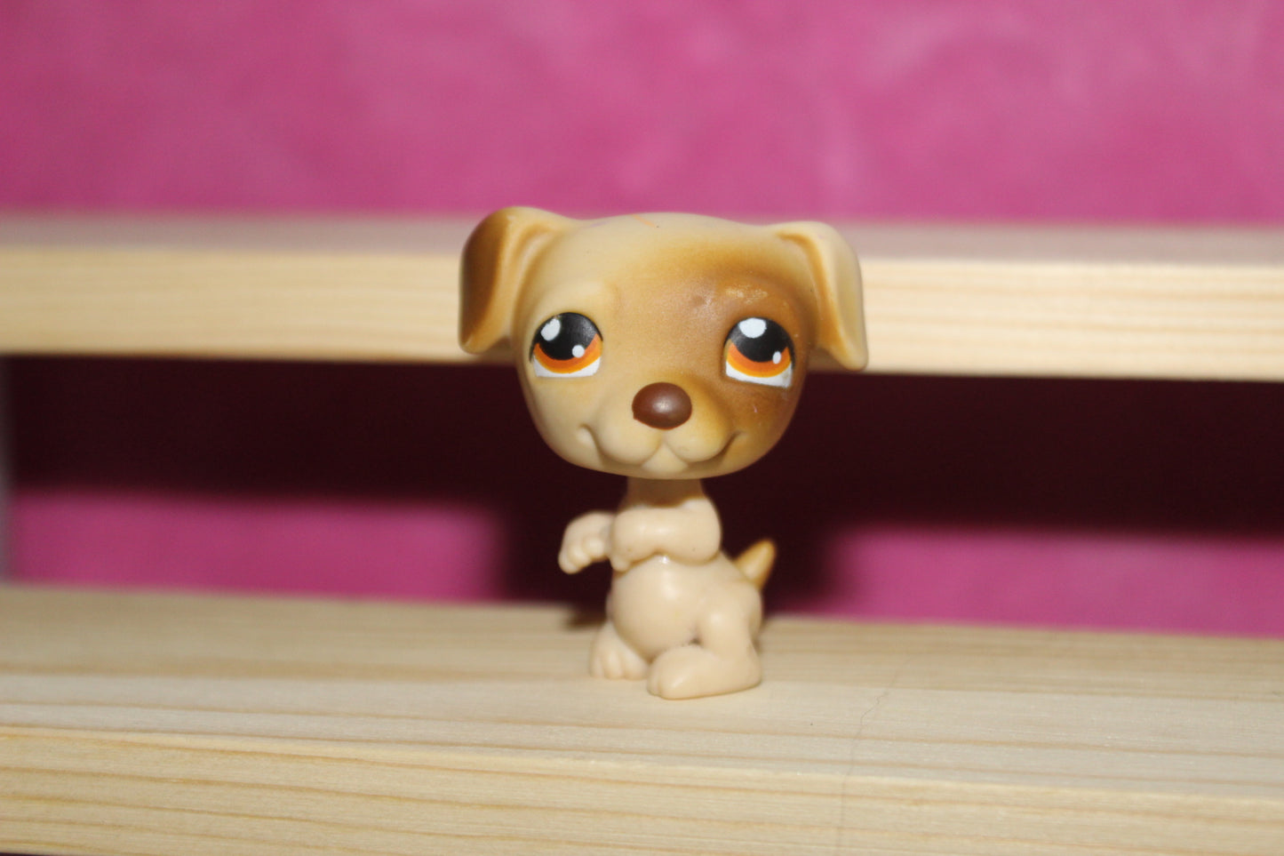 Authentic LPS Dog