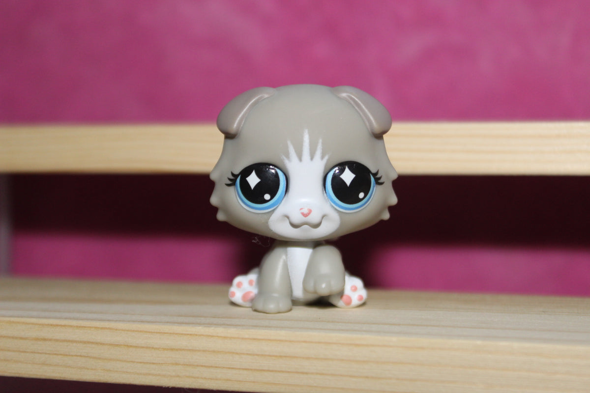 Authentic LPS New Gen Cat