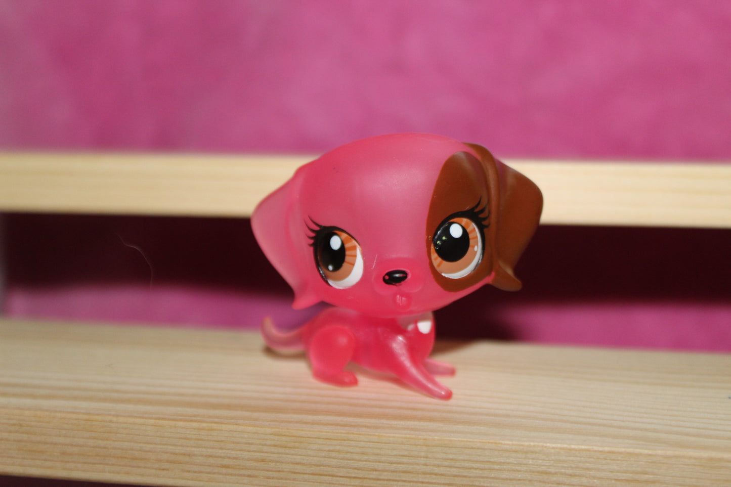 Authentic LPS New Gen dog