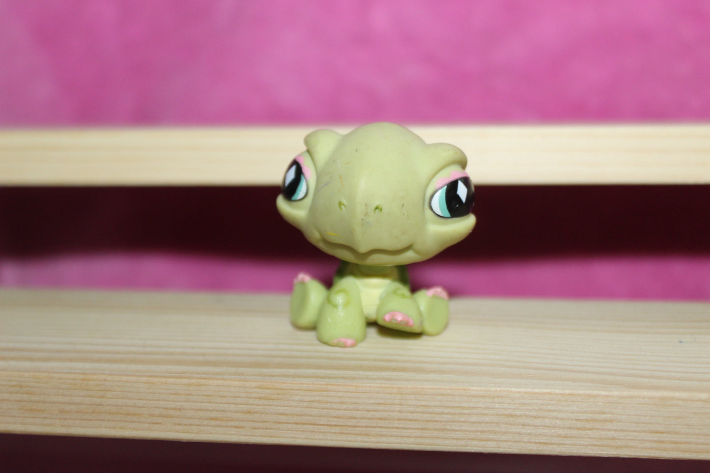 Authentic LPS Turtle