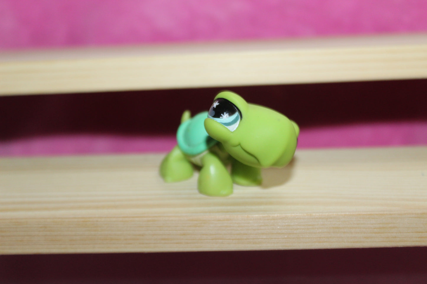 Authentic LPS turtle
