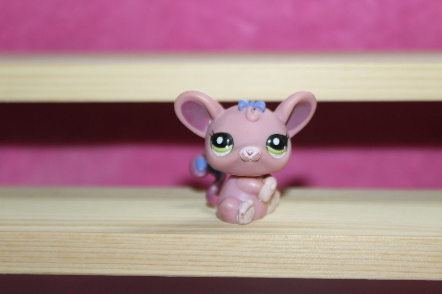 Authentic LPS rat