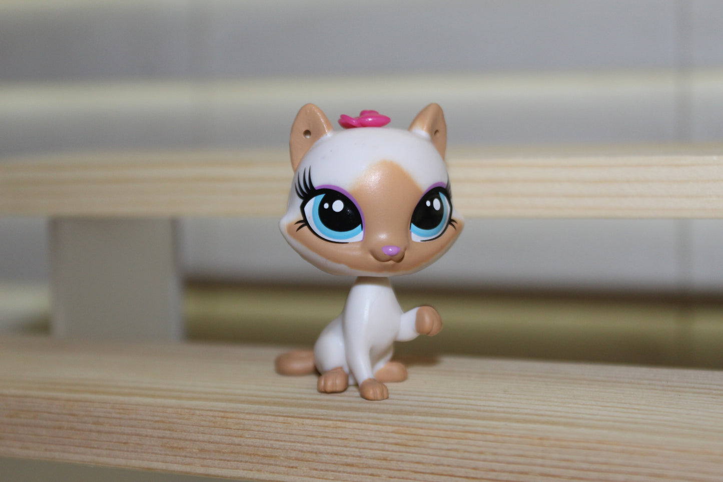 Authentic LPS cat