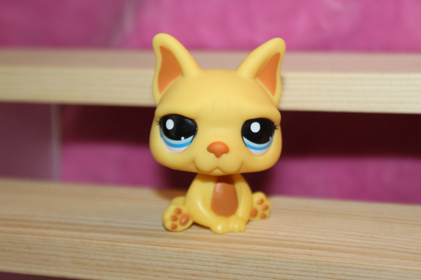 Authentic LPS RARE Blind Bag French Bulldog