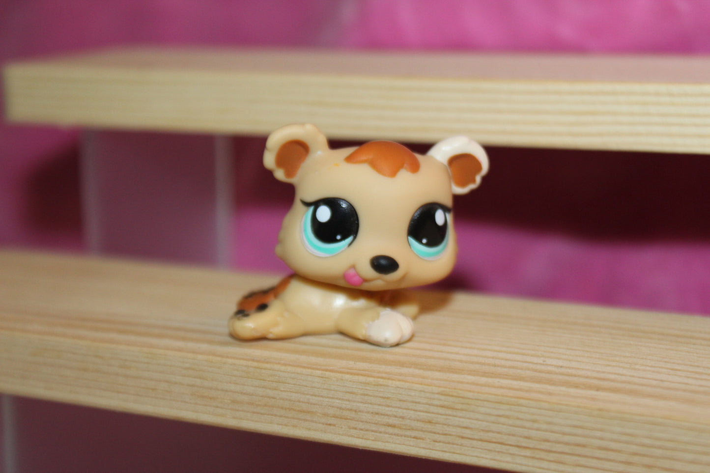 Authentic LPS RARE Bear Triplet