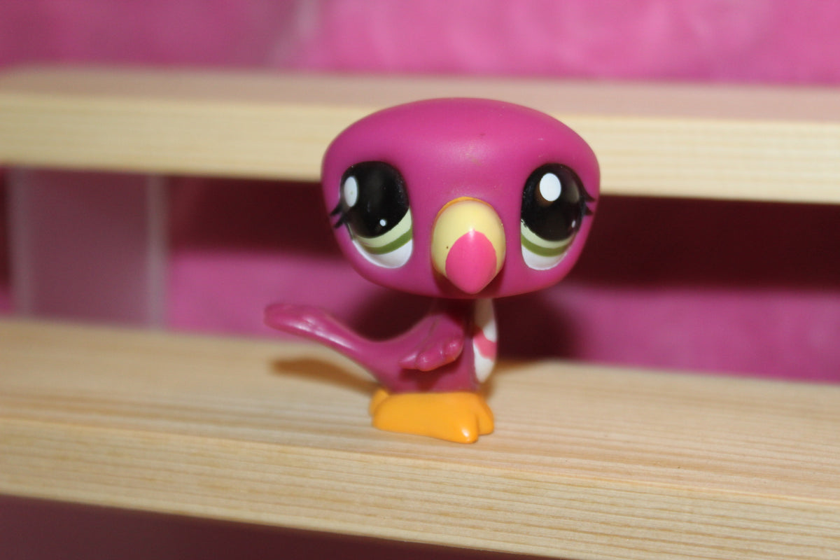 Authentic LPS Rare Toucan Bird