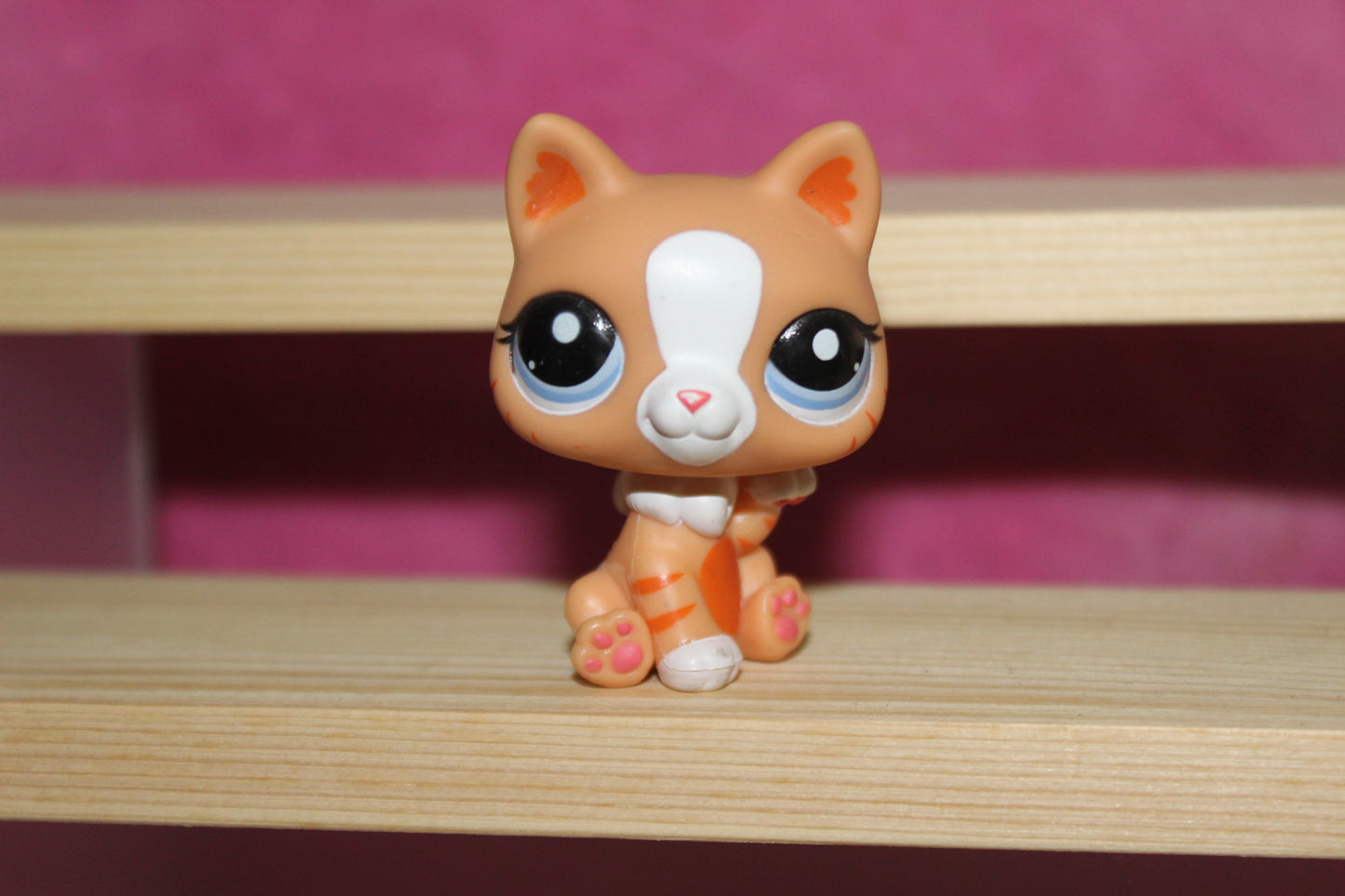 Authentic LPS rare cat