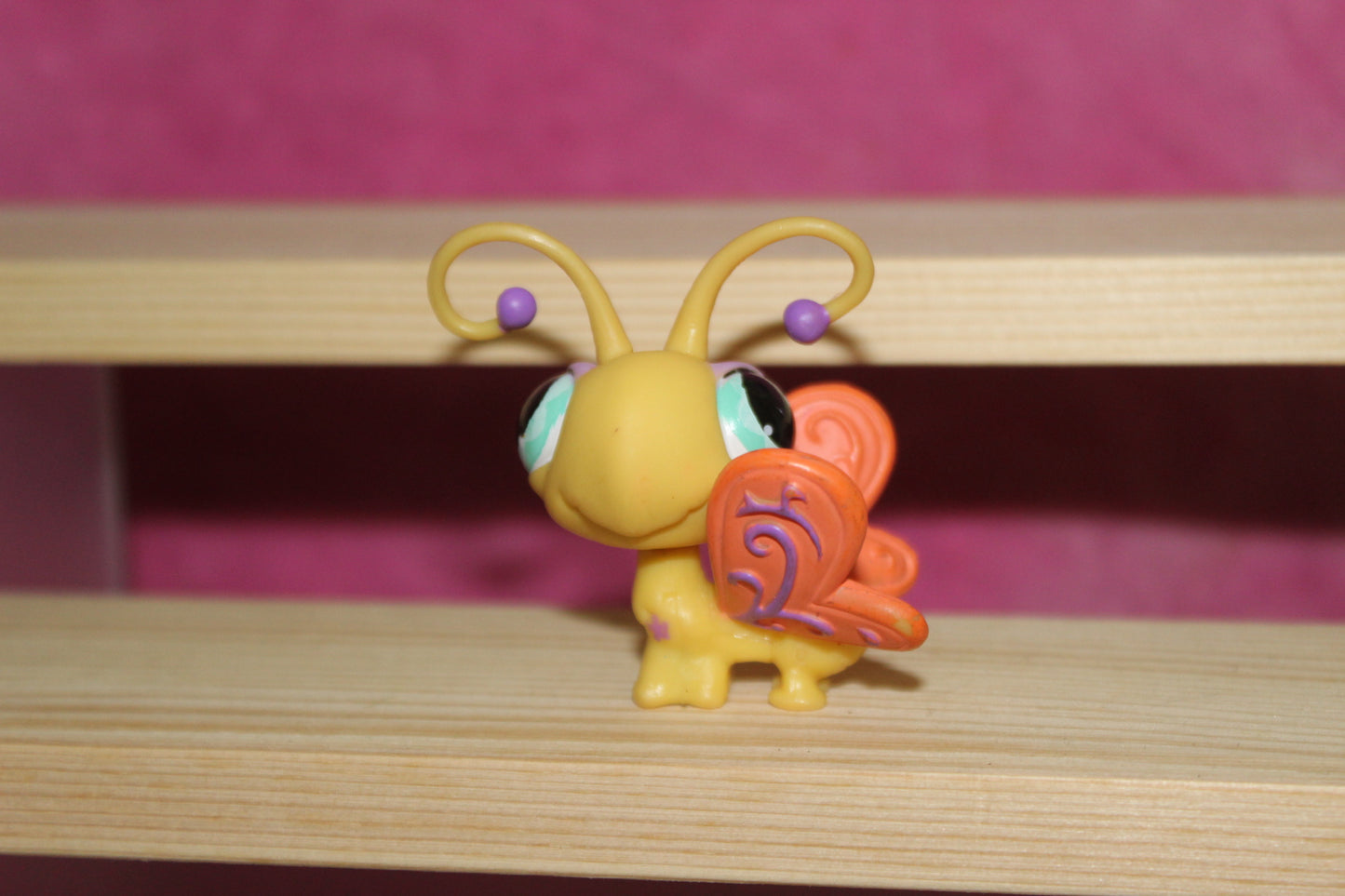 Authentic LPS butterfly