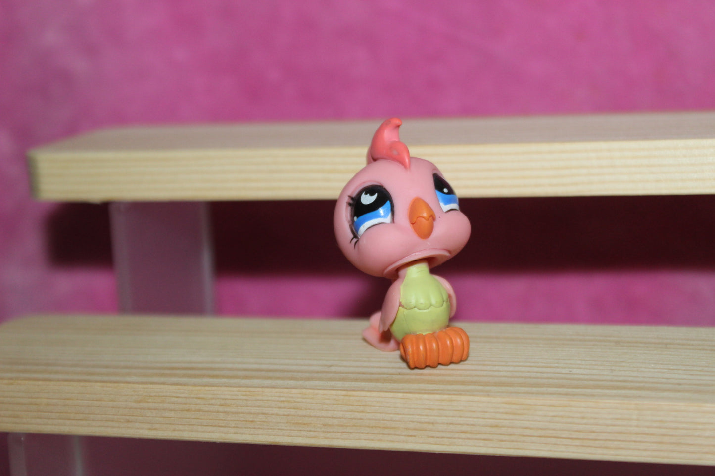 Authentic LPS parrot