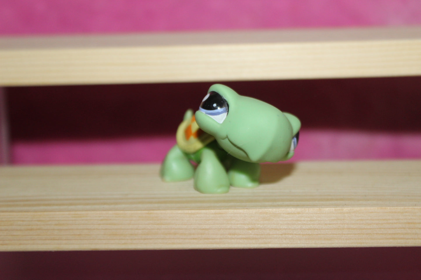 Authentic LPS turtle