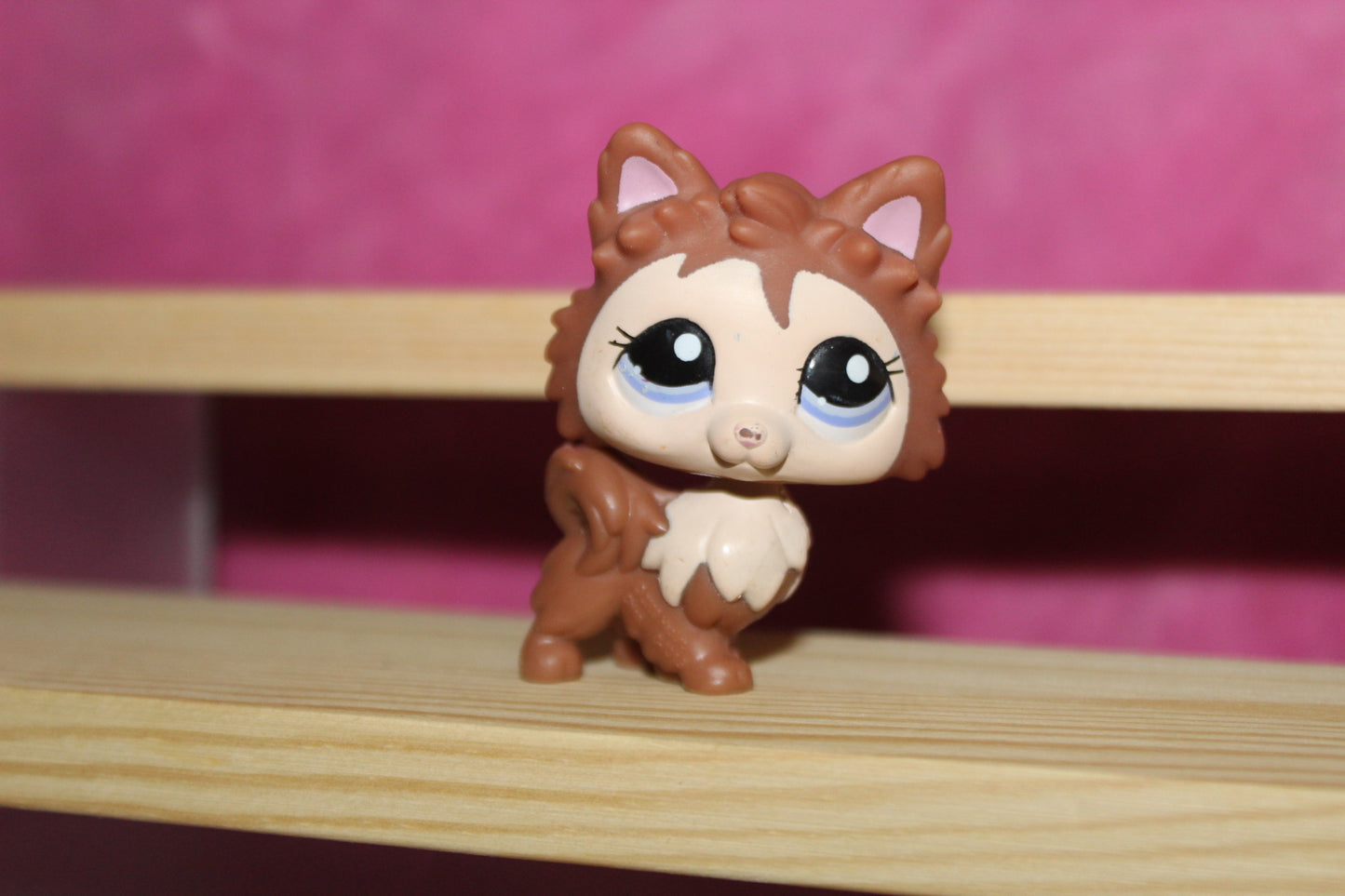 Authentic LPS Rare Pomeranian Dog