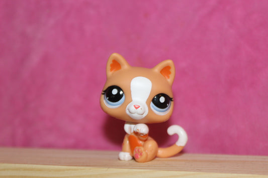 Authentic LPS special edition Siamese cat