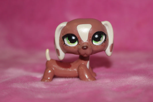 Custom LPS Dachshund Dog (sealed with krylon satin spray, with uv resin for the eyes)