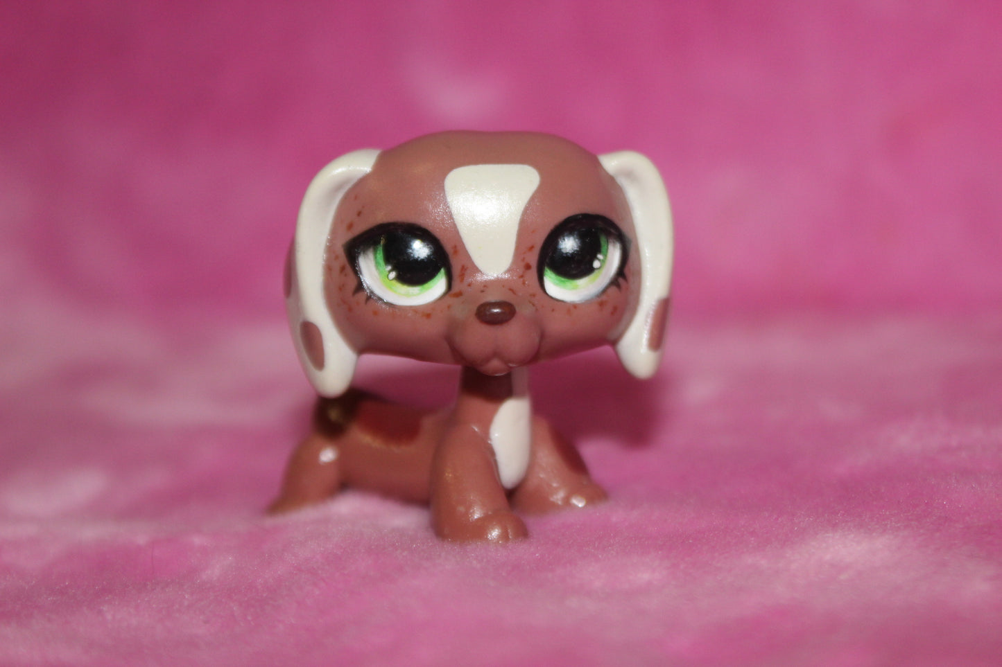 Custom LPS Dachshund Dog (sealed with krylon satin spray, with uv resin for the eyes)