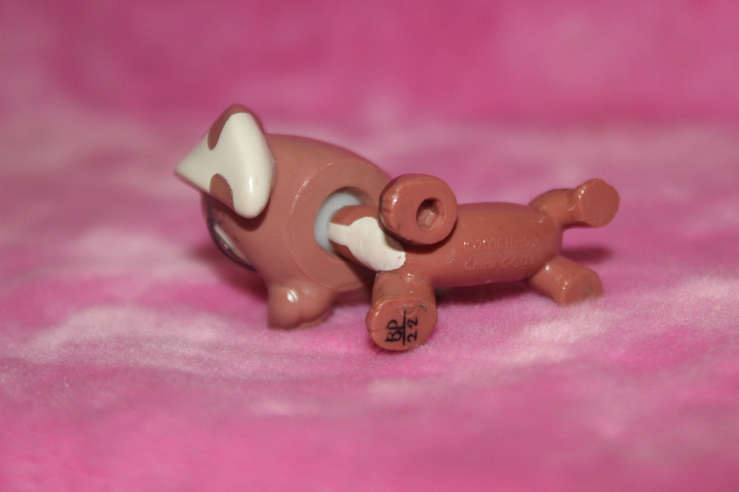 Custom LPS Dachshund Dog (sealed with krylon satin spray, with uv resin for the eyes)