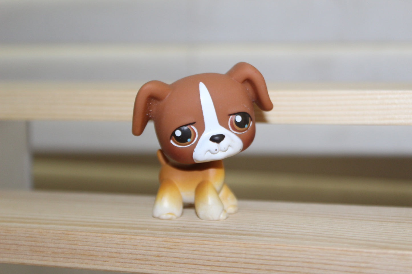 Authentic LPS boxer dog