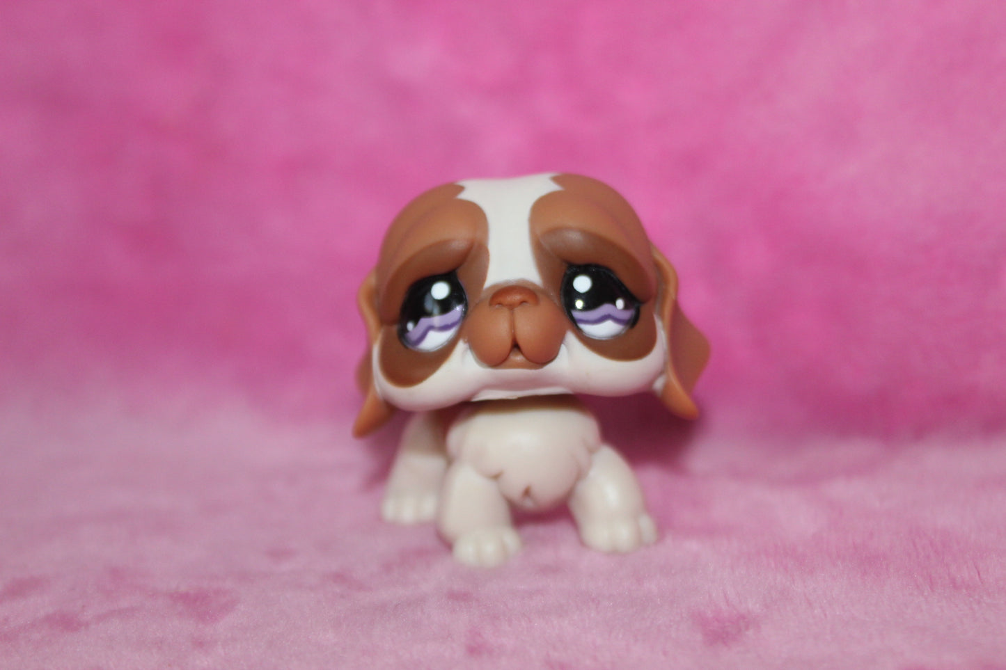 Authentic rare lps st.Bernard dog