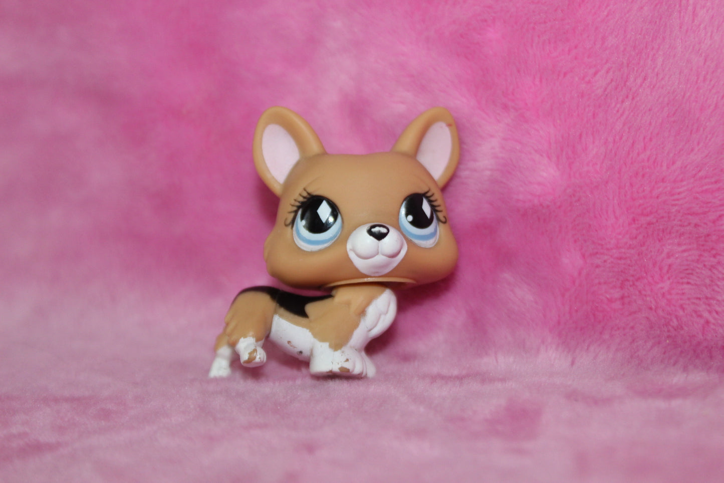 Authentic Blemished Lps corgi no tail