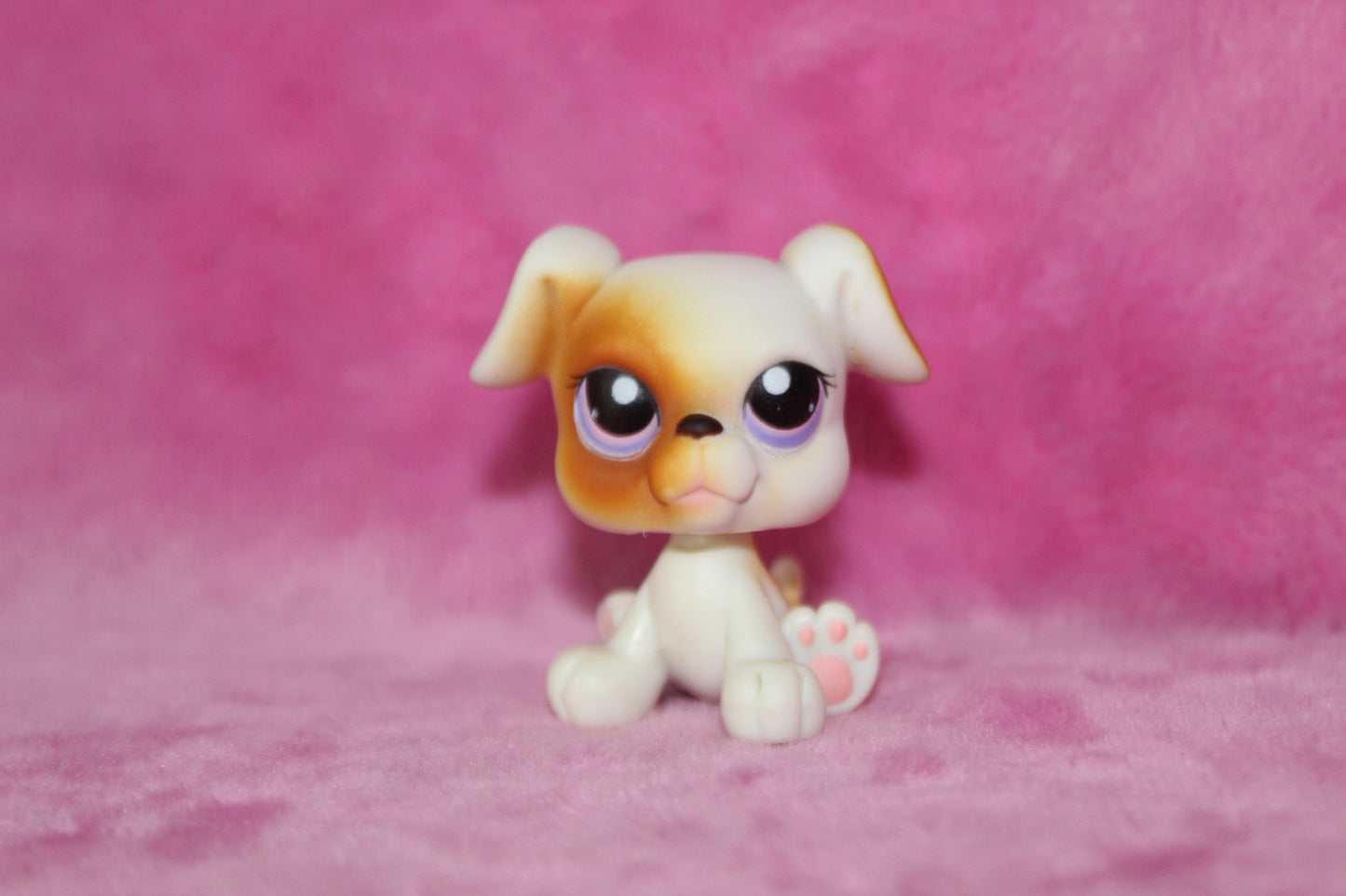 Authentic lps boxer dog