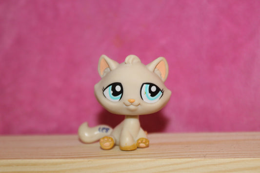 Authentic LPS cat
