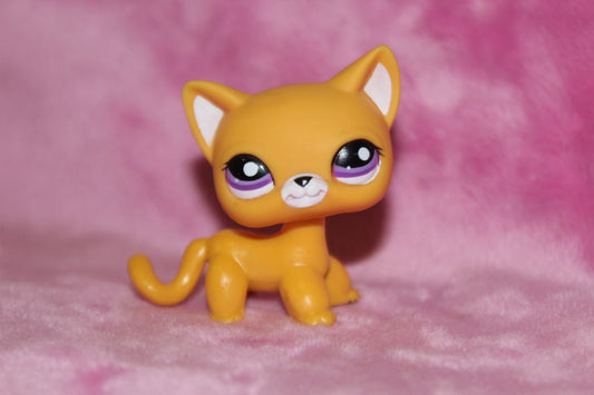 Authentic Rare LPS Blindbag Shorthair Cat