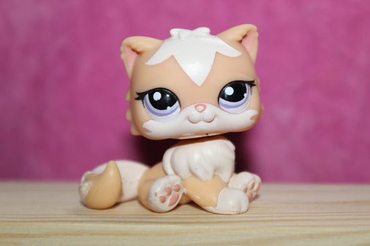 Authentic LPS European Exclusive Persian Cat Rare