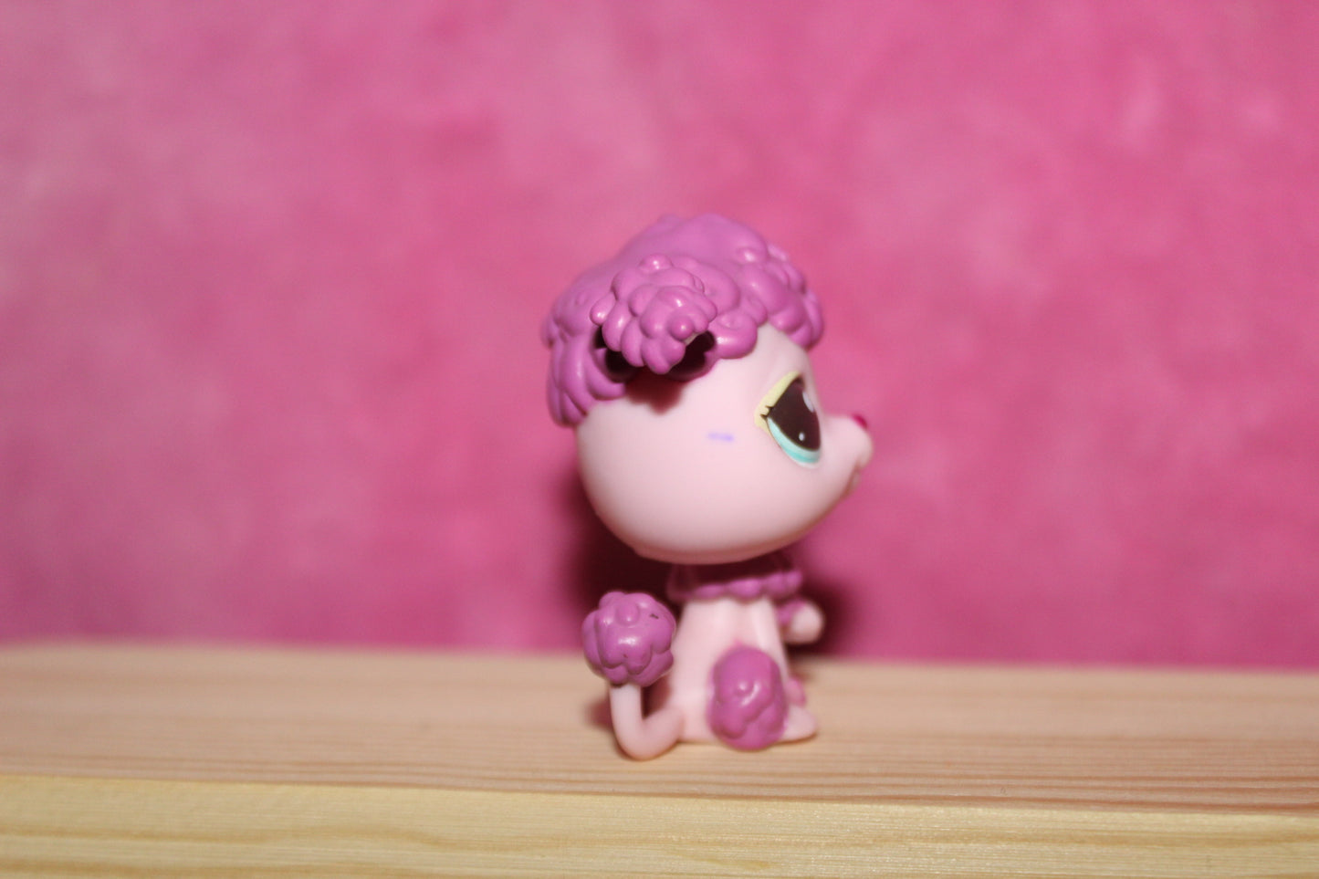 Authentic Blemished (stain) mommy poodle, rare