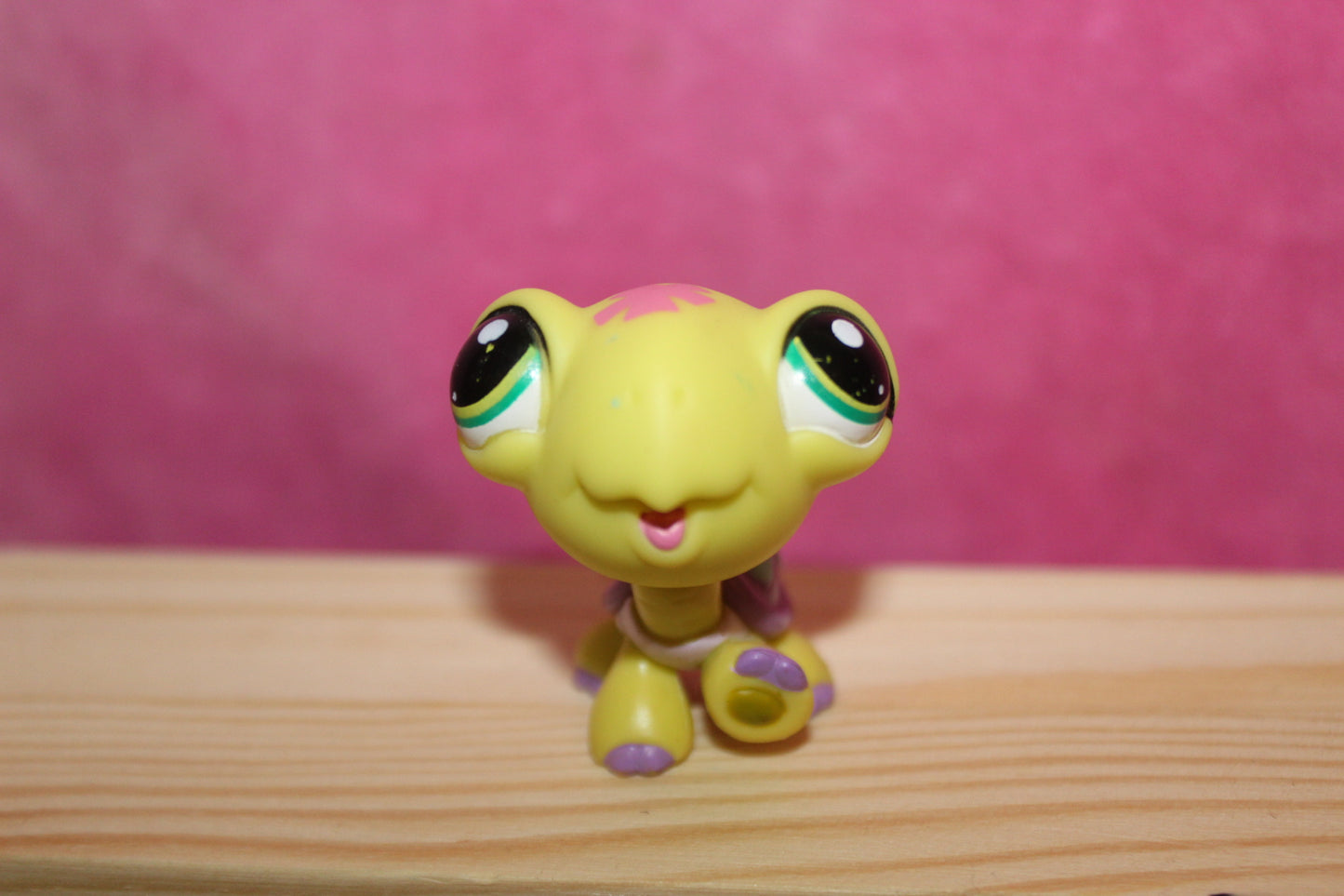 Authentic LPS Turtle Triplet