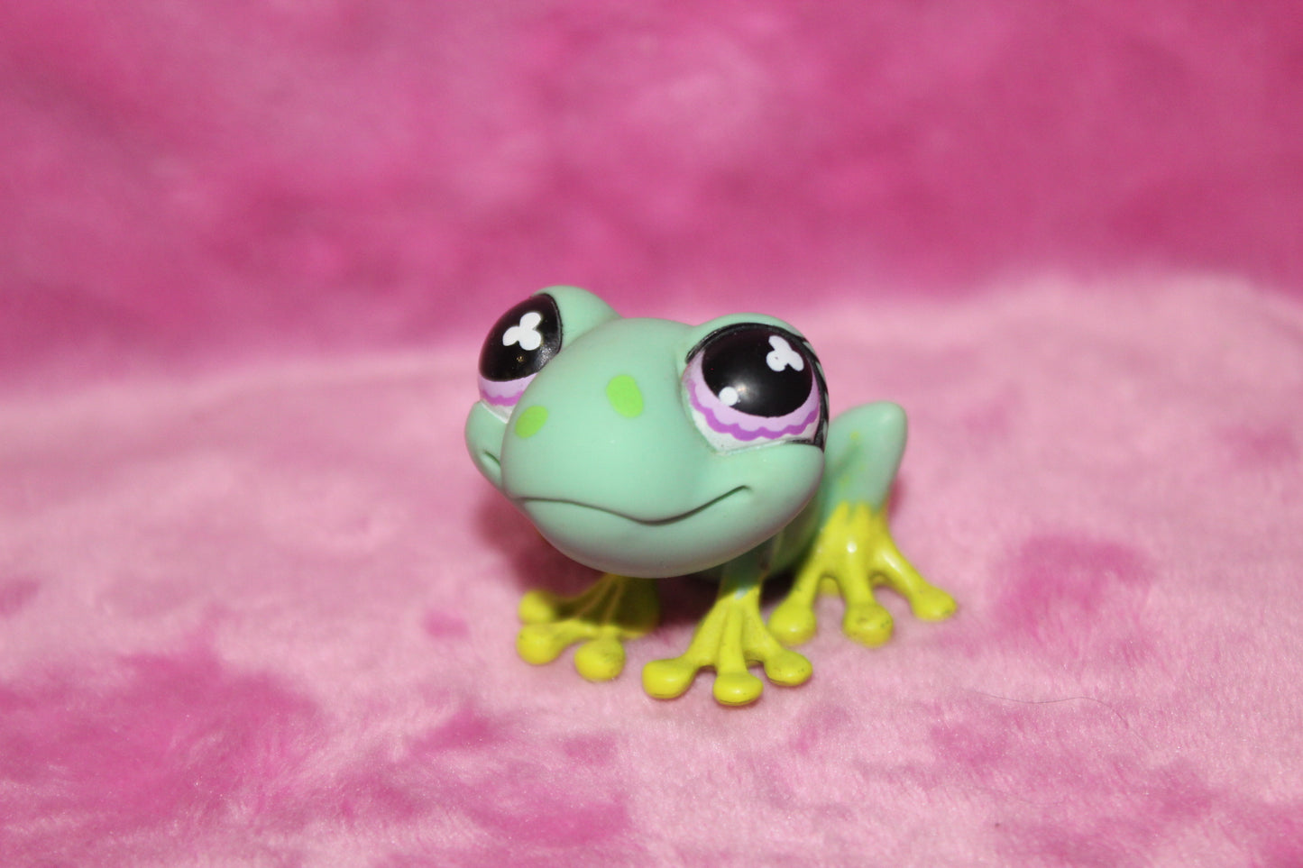 Authentic LPS Frog