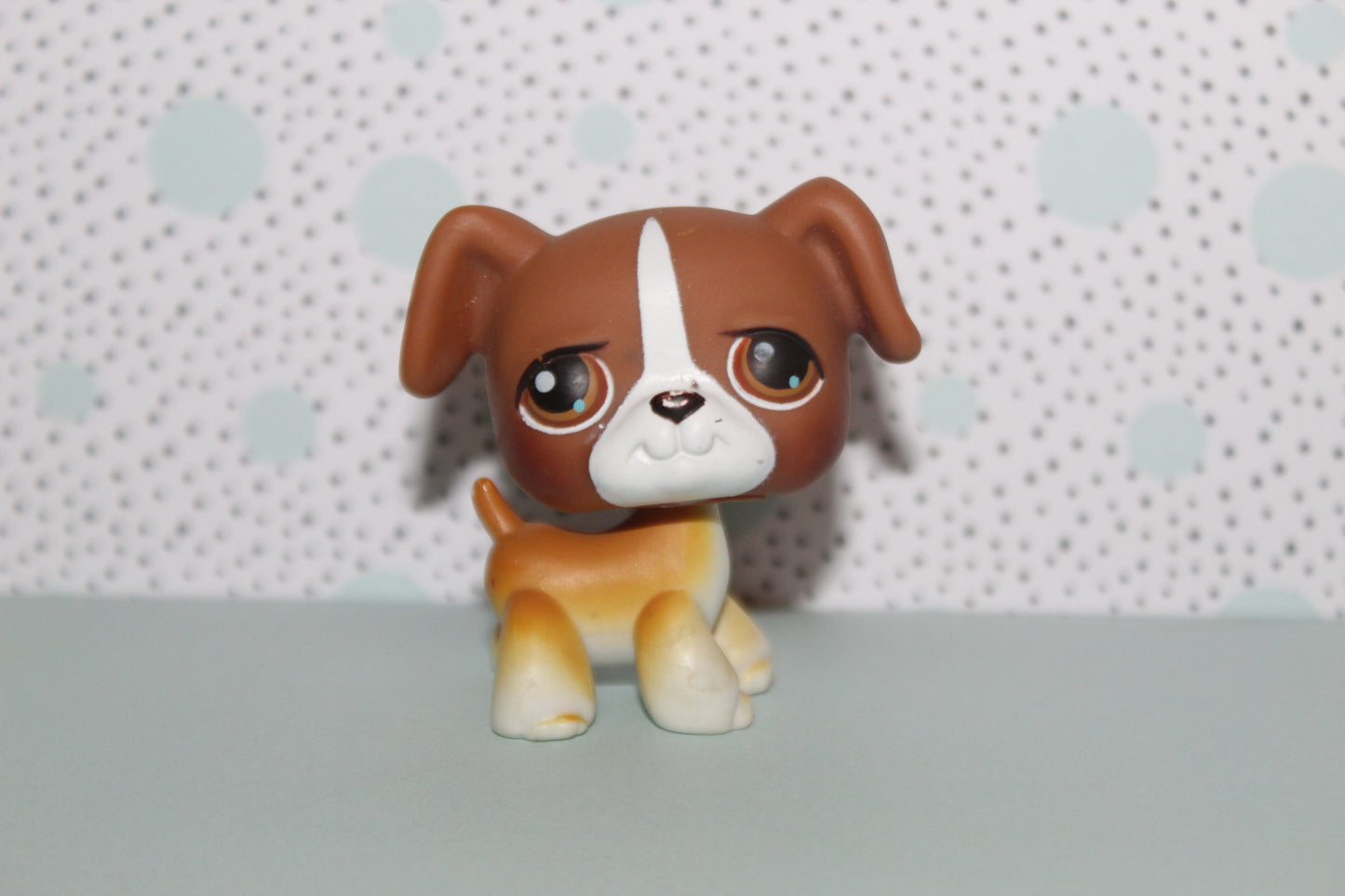 Authentic LPS Boxer Dog