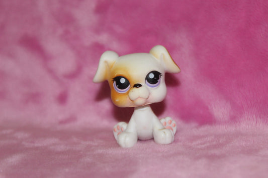 Authentic Blemished LPS Boxer Dog