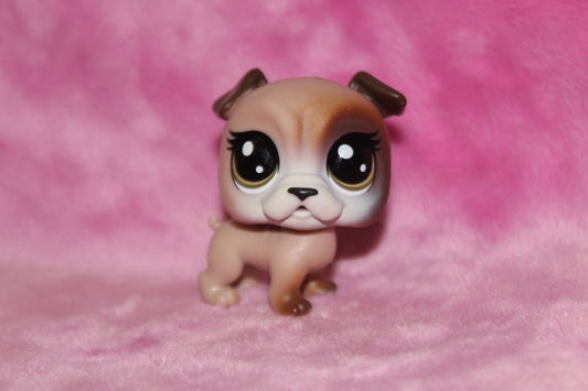 Authentic New Gen LPS Pug Dog