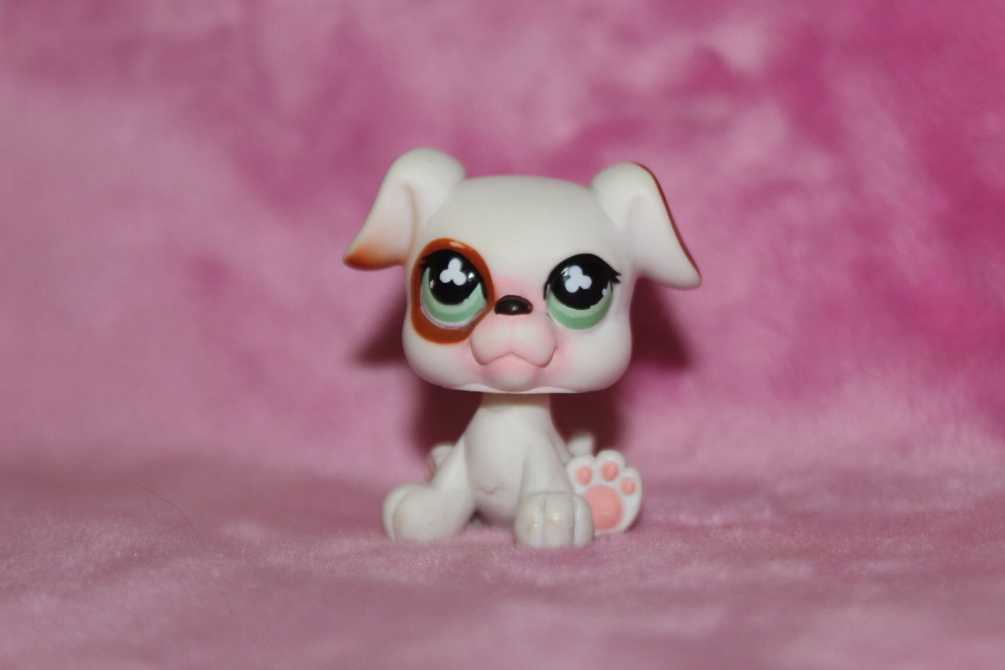 Authentic Blemished LPS Boxer Dog