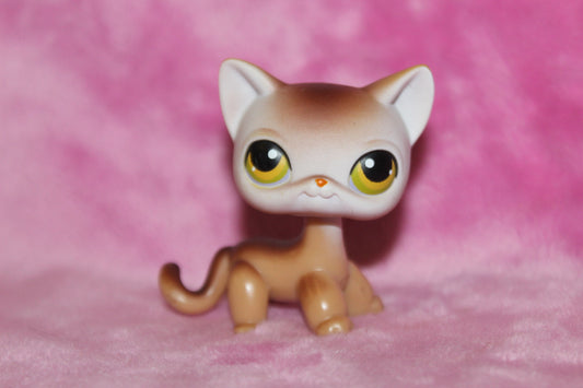 Authentic LPS Shorthair Cat