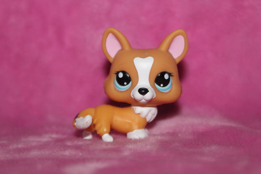 Authentic LPS Corgi Dog