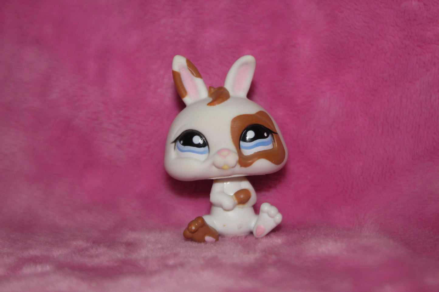 Authentic LPS Baby Bunny