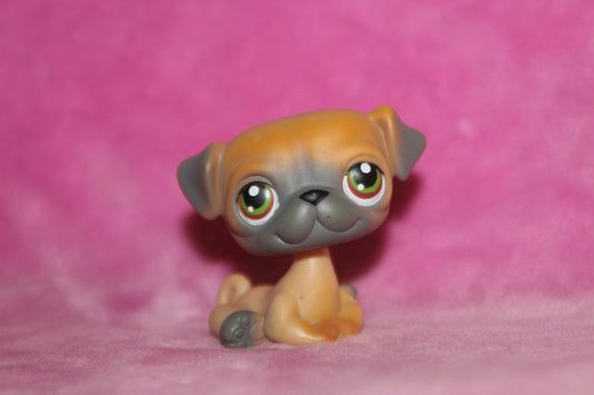 Authentic LPS Pug Dog