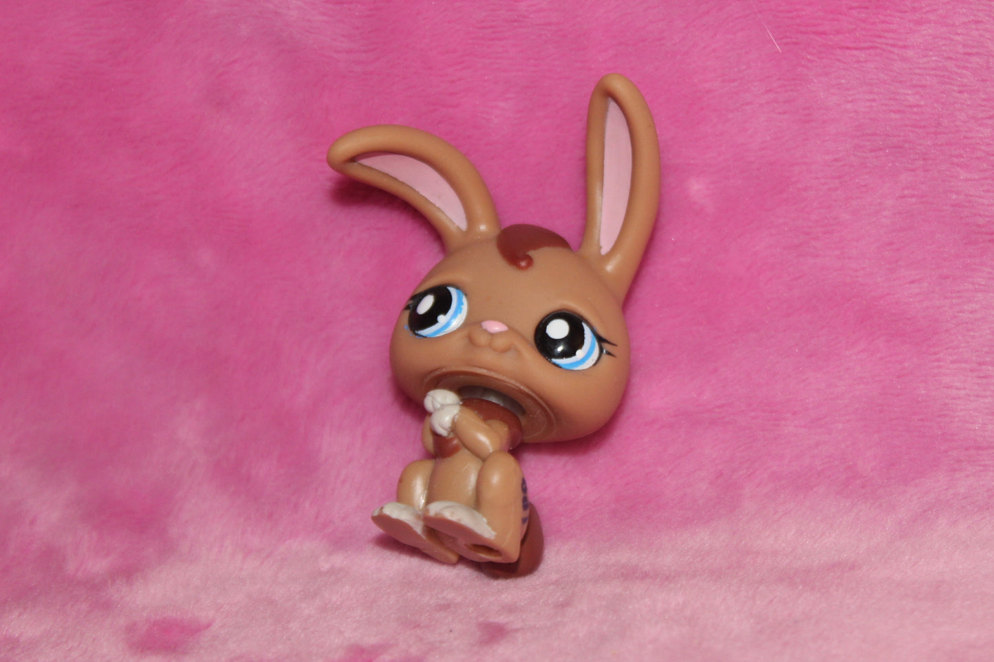 Authentic LPS Bunny