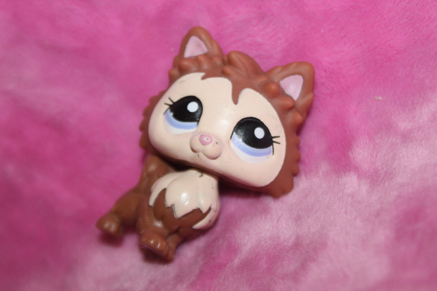 Authentic Blemished LPS Pomeranian Dog