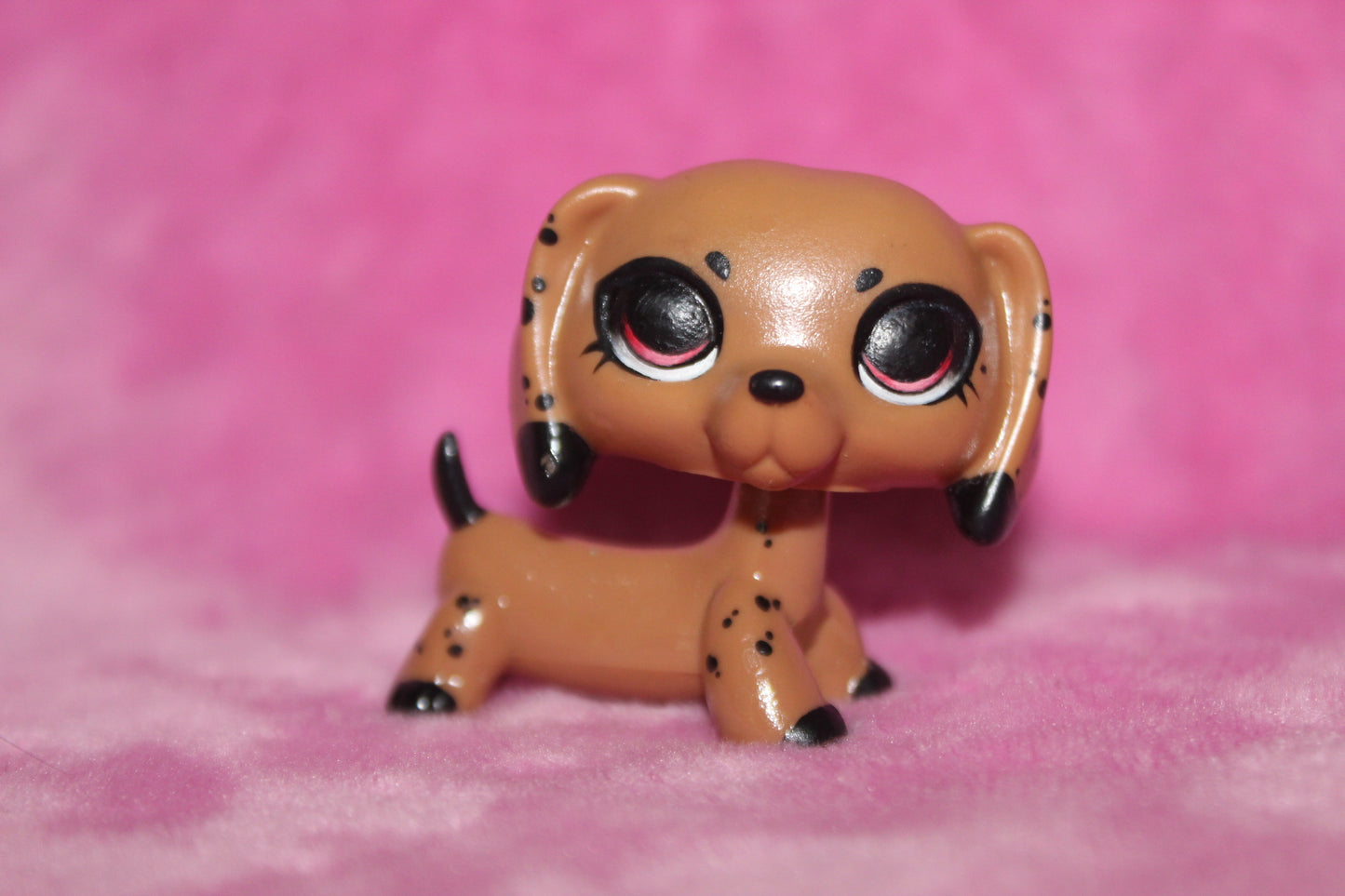 Fake Base, Custom LPS Dachshund Dog, Sealed with Krylon Satin Spray