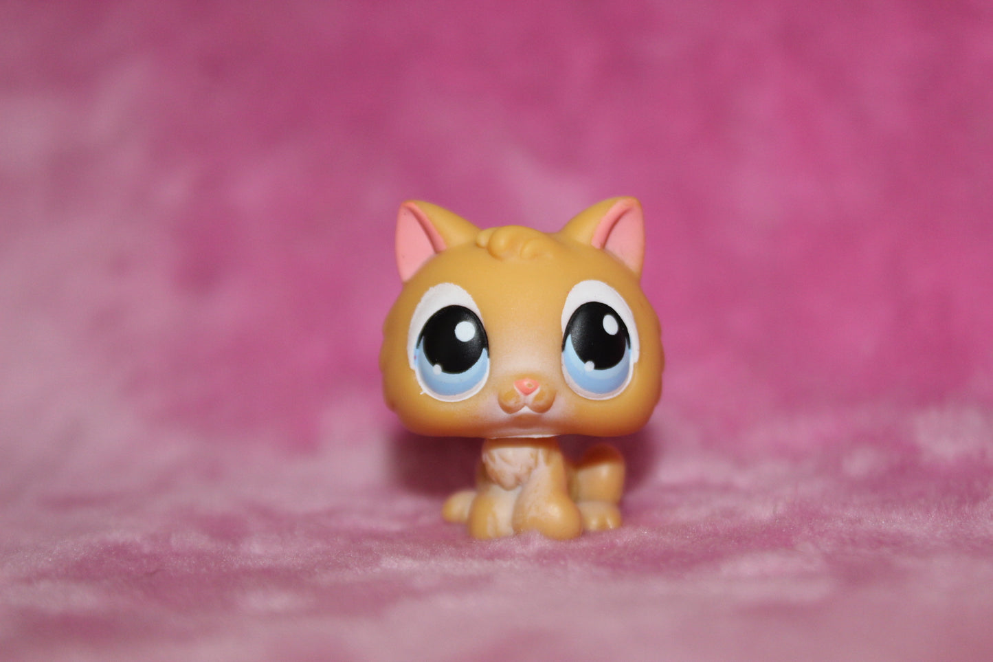 Authentic LPS Kitten Cat