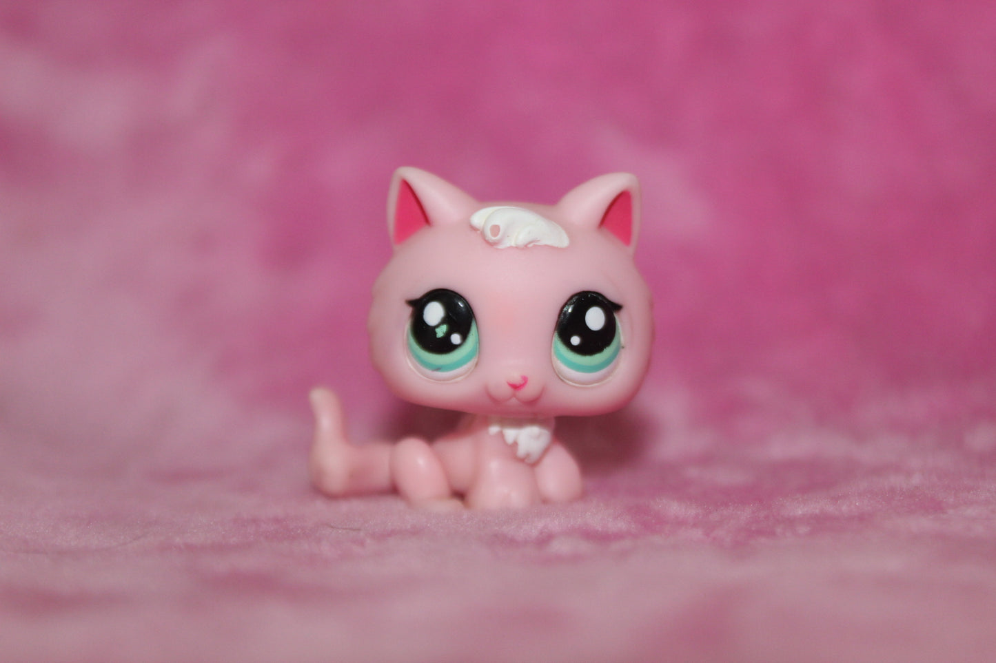 Authentic LPS Pink Kitten Cat